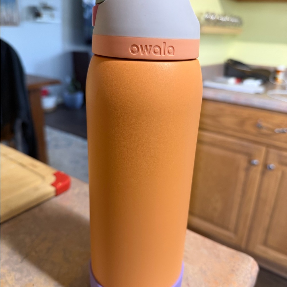 Owala Insulated Water Bottle in Peach Orange